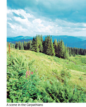 A scene in the Carpathains